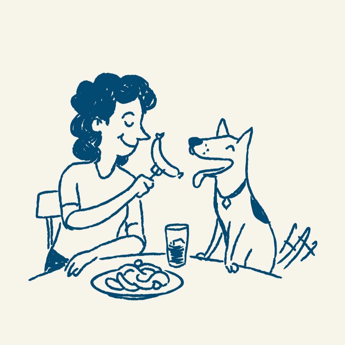 Meal Box Table For One Discovery Box, 7 complete meals for 1